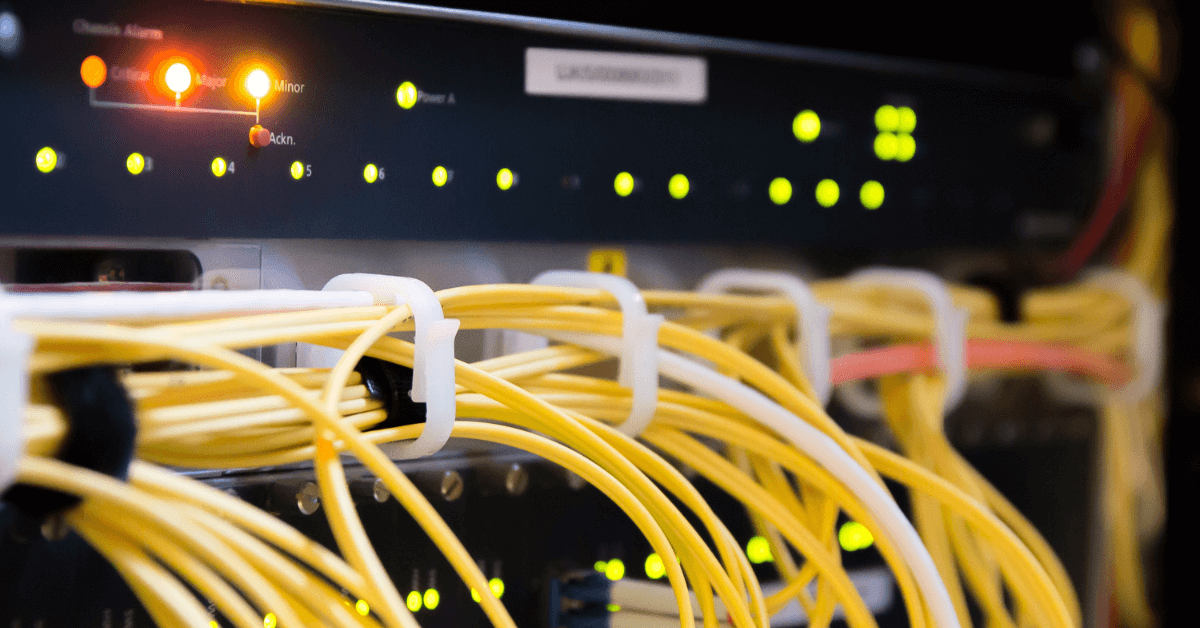 apa itu certified network defender